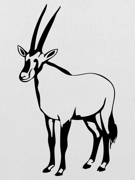 Oryx - Antilope