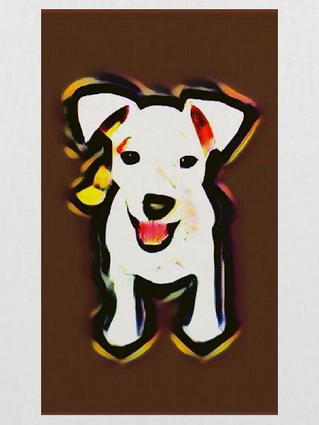 Jack terrier Puppy