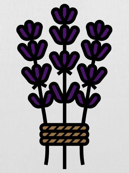 Lavendel