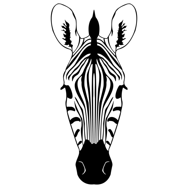 Zebra Illustration