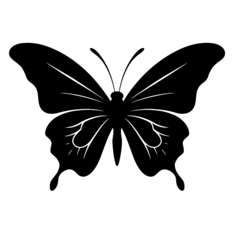 Papillon. papillon