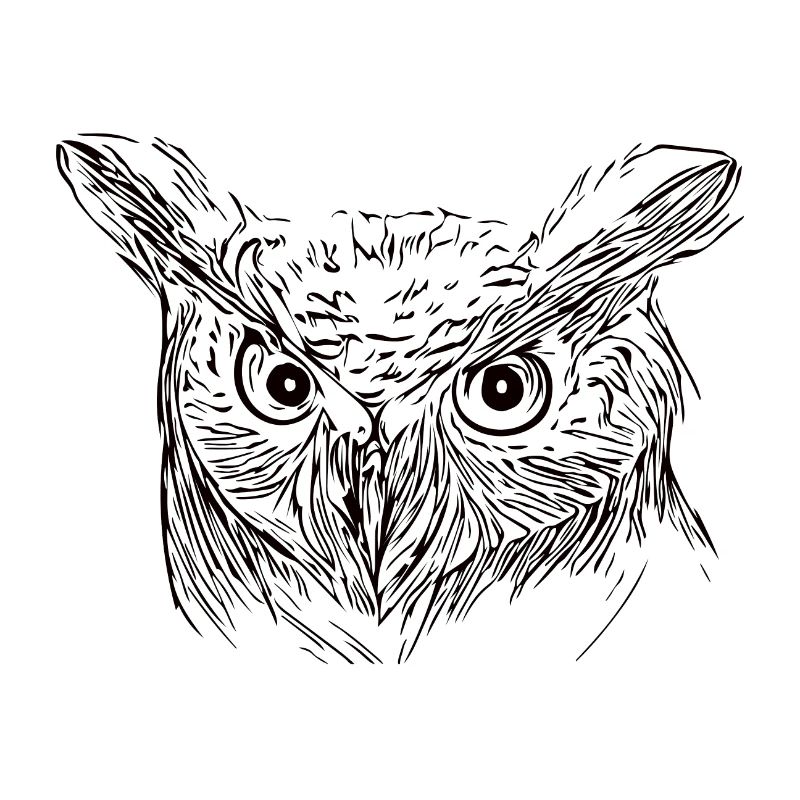 Eule - Uhu - Vogel