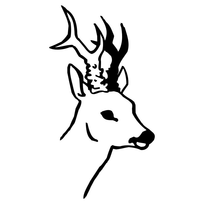 ikra