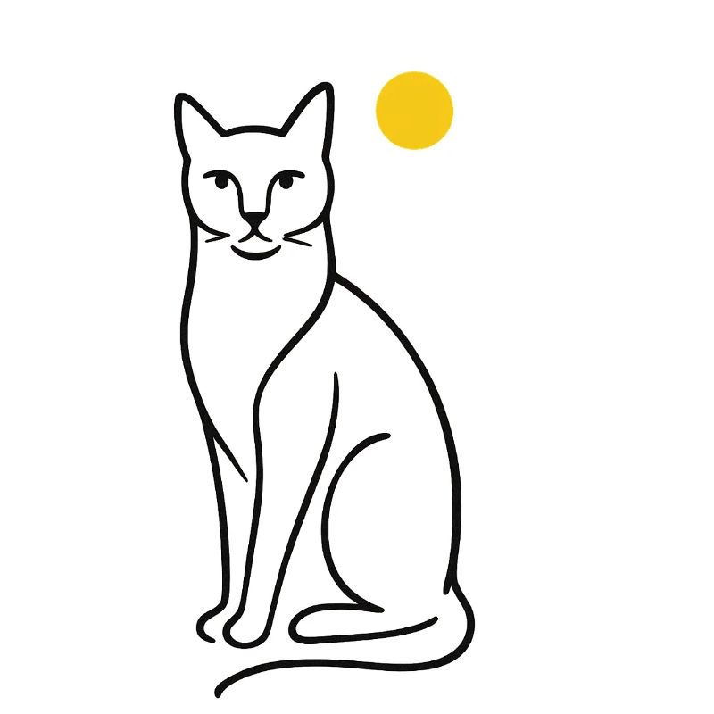 Katze