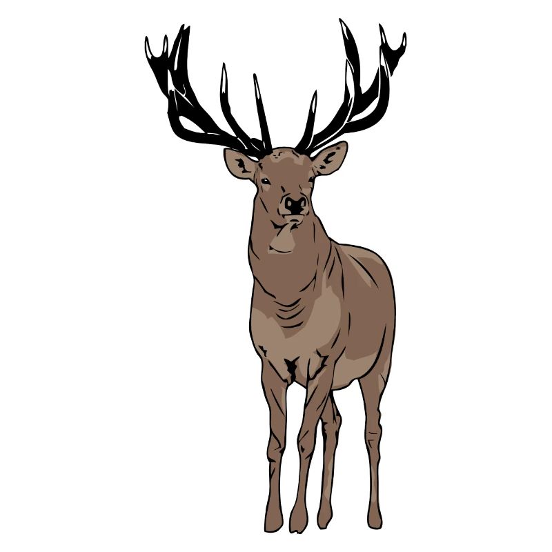Hirsch - Deer