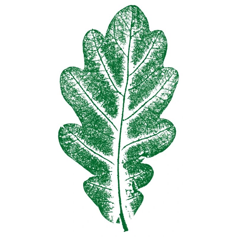 Oak Leaf Green - Monocolor - Leaf/Oak/ Tree