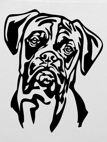 Boxer Kopf