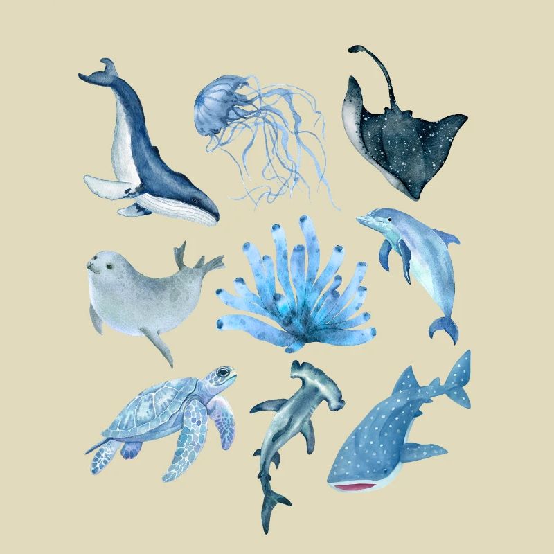 Ocean animals