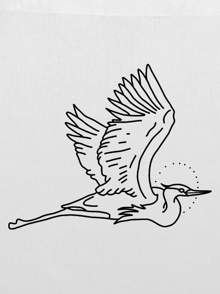 Storch
