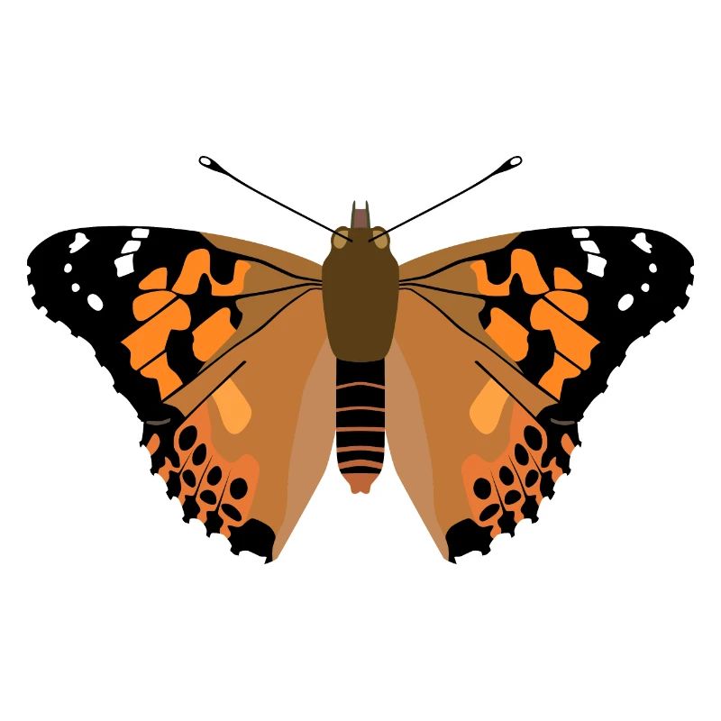 Schmetterling