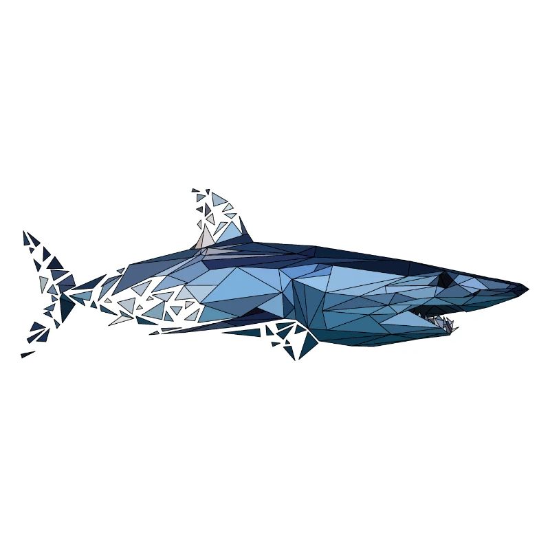 Hai | Low Poly