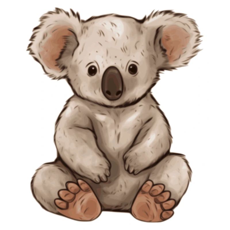 Koala Koalabär Geschenkidee