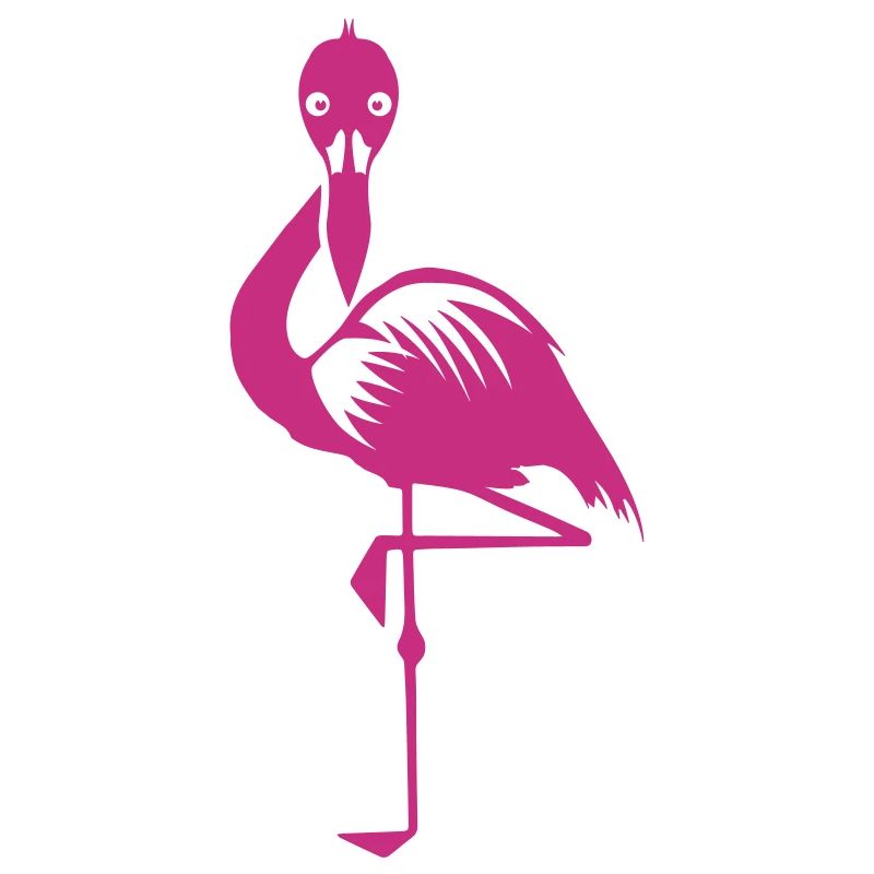Flamingo pink rosa Vogel Sommer Tier Wasservogel