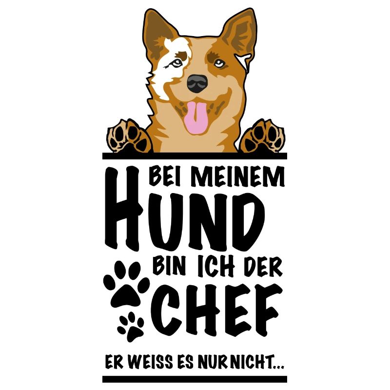 Chef Cattle