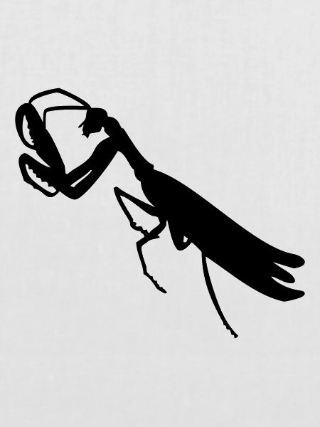 Gottesanbeterin / mantis (1c)