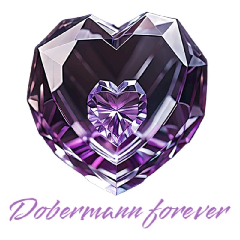 dobermann forever