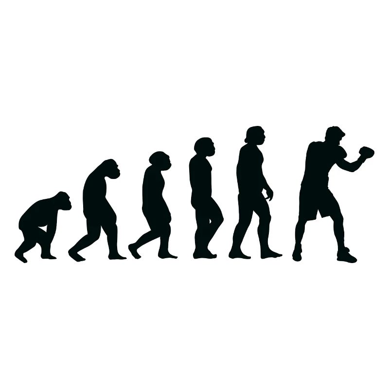 Evolution Boxing - Bo
