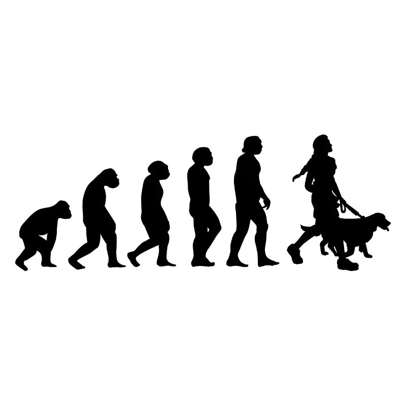 Evolution et Chien -