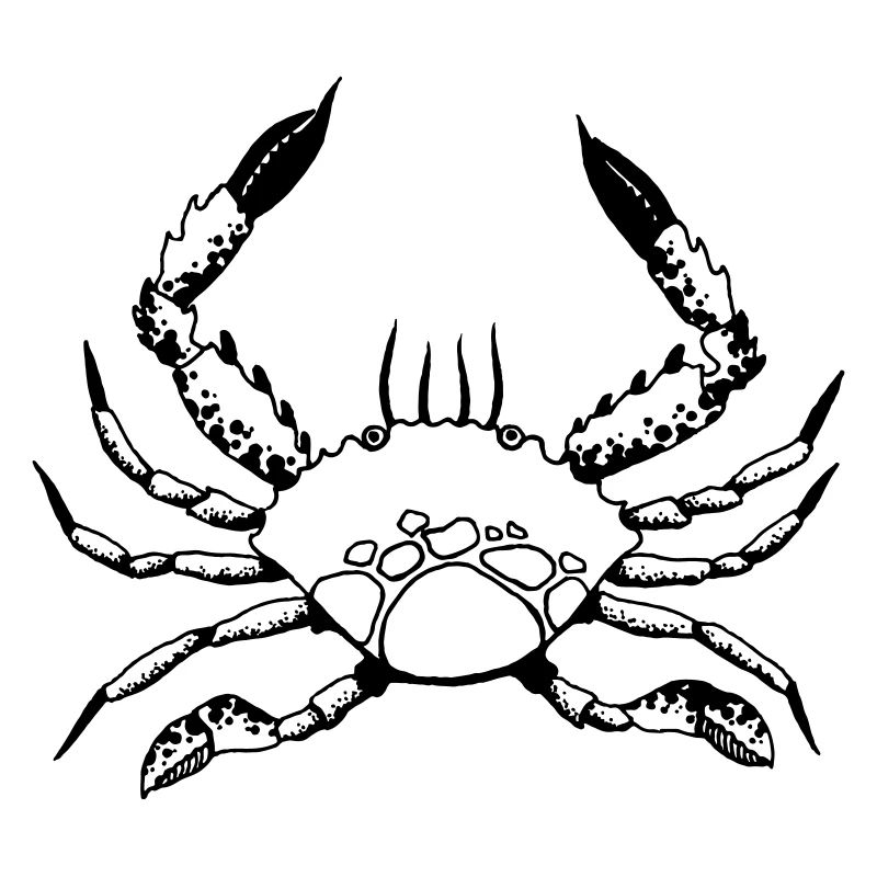 Krabbe