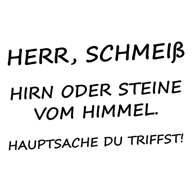 Herr Schmeiß Hirn oder Steine vom Himmel