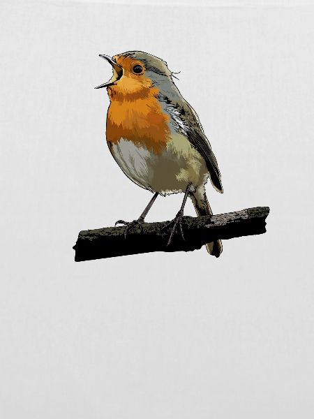 Rotkehlchen Vogel Beobachten Singvögel Geschenk