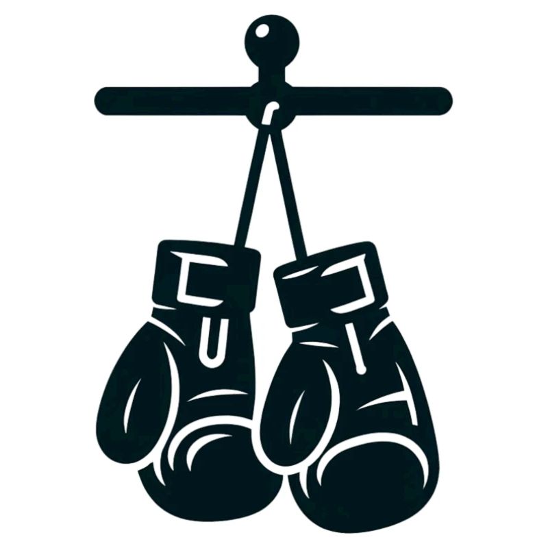 Boxhandschuhe