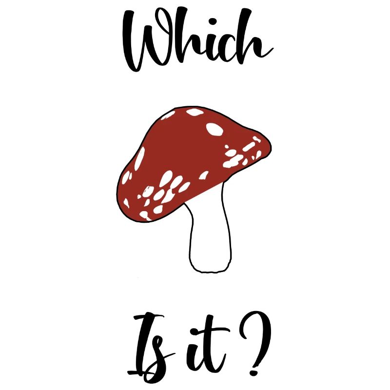 Conception interactive de champignons (couleur texte noir)