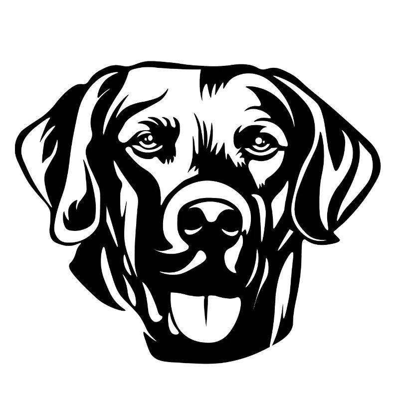 Labrador