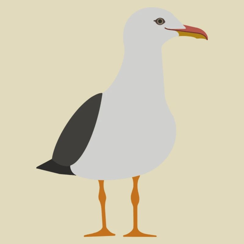 Möwe