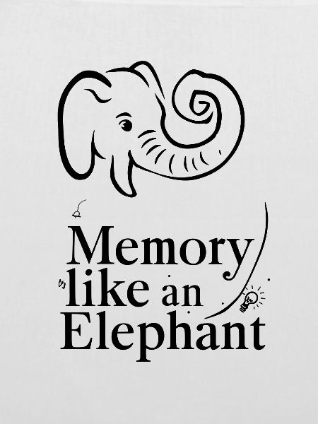 Memory Like an Elephant
