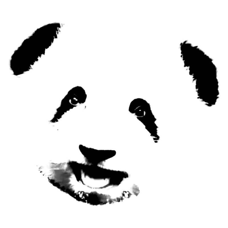 Panda,pandabär,bär, Graffiti,schwarz