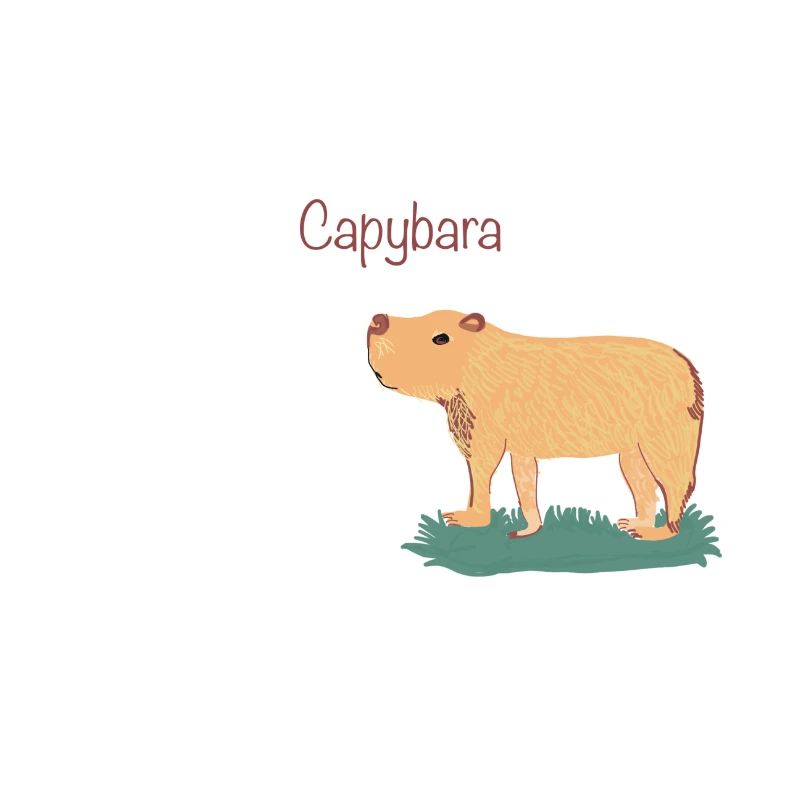 Capybara