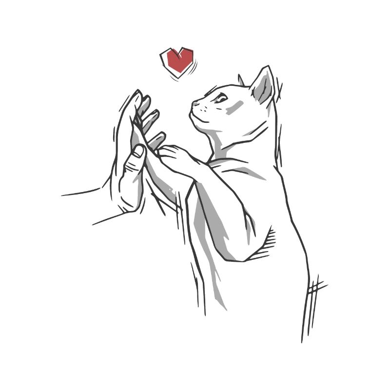 Chat Chat