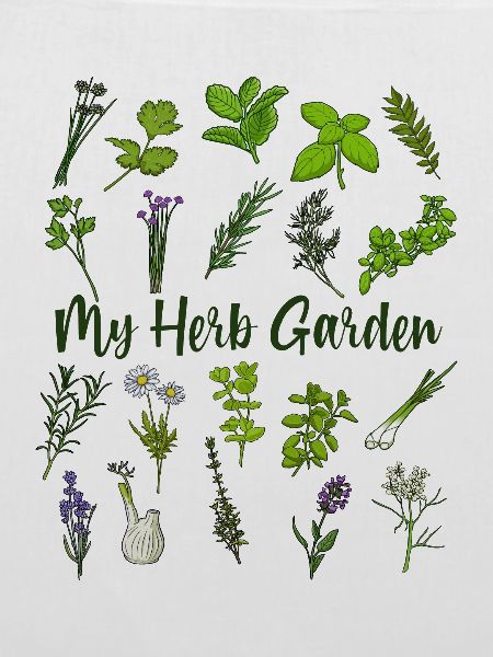 Mein Kräutergarten - Kräuter