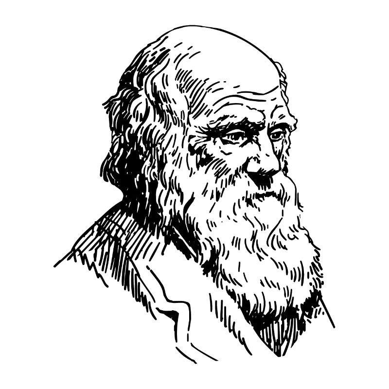 Portrait de Darwin Biologie Théorie de l’évolution