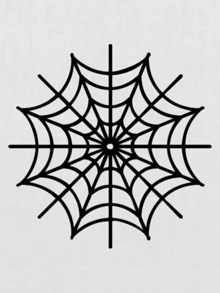 Spinnennetz