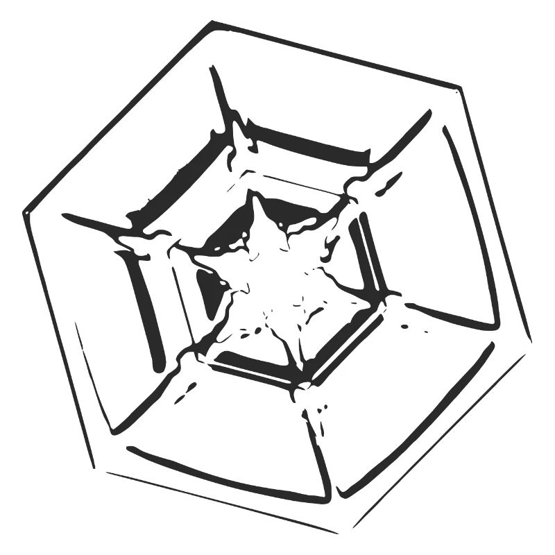 snowflake 4 black