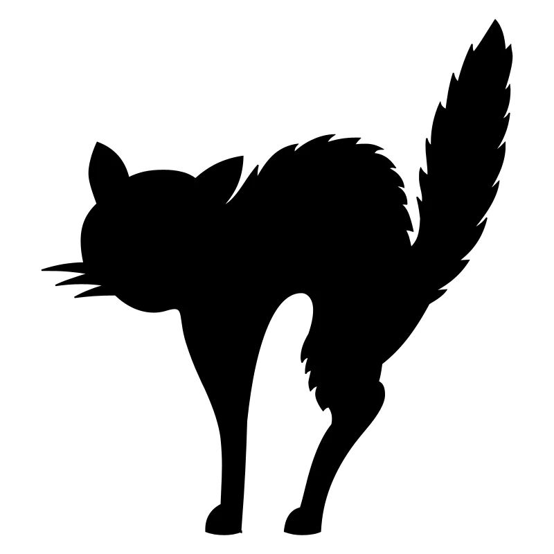 erschreckte Katze