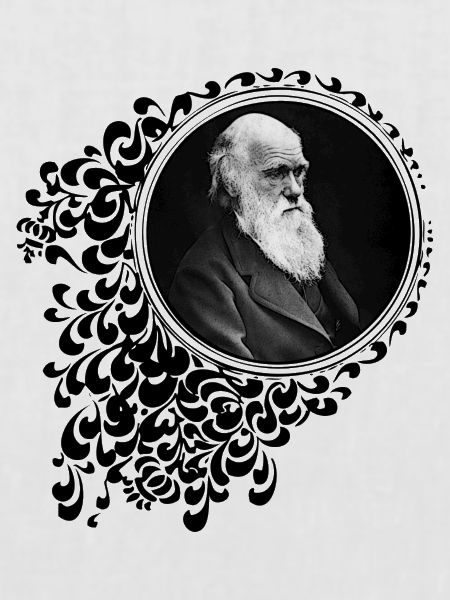 Charles Darwin Dekorativ