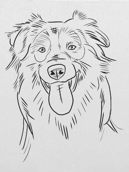 Lustige Australian Shepherd Aussie Skizze Strichkunst