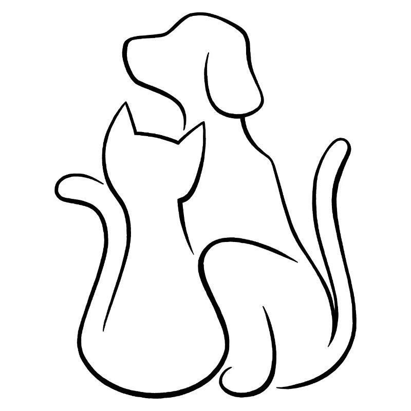 Hund und Katze Tierliebe