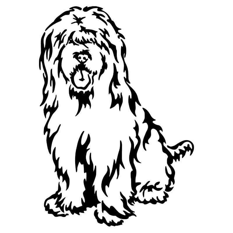 Briard
