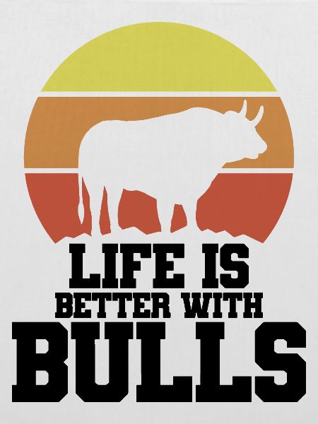 Stier Spruch Humor