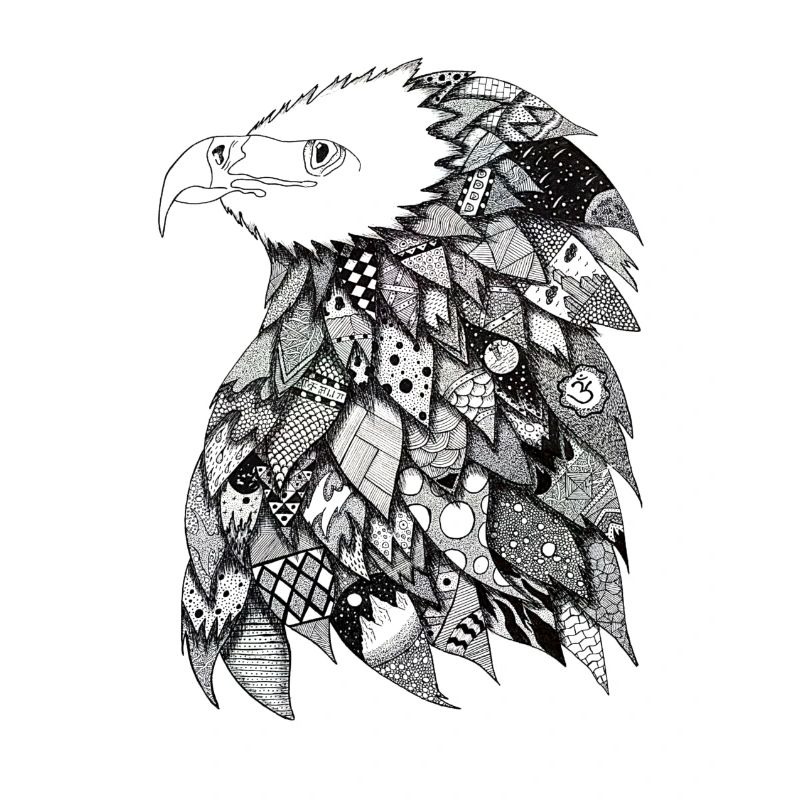 Falcon