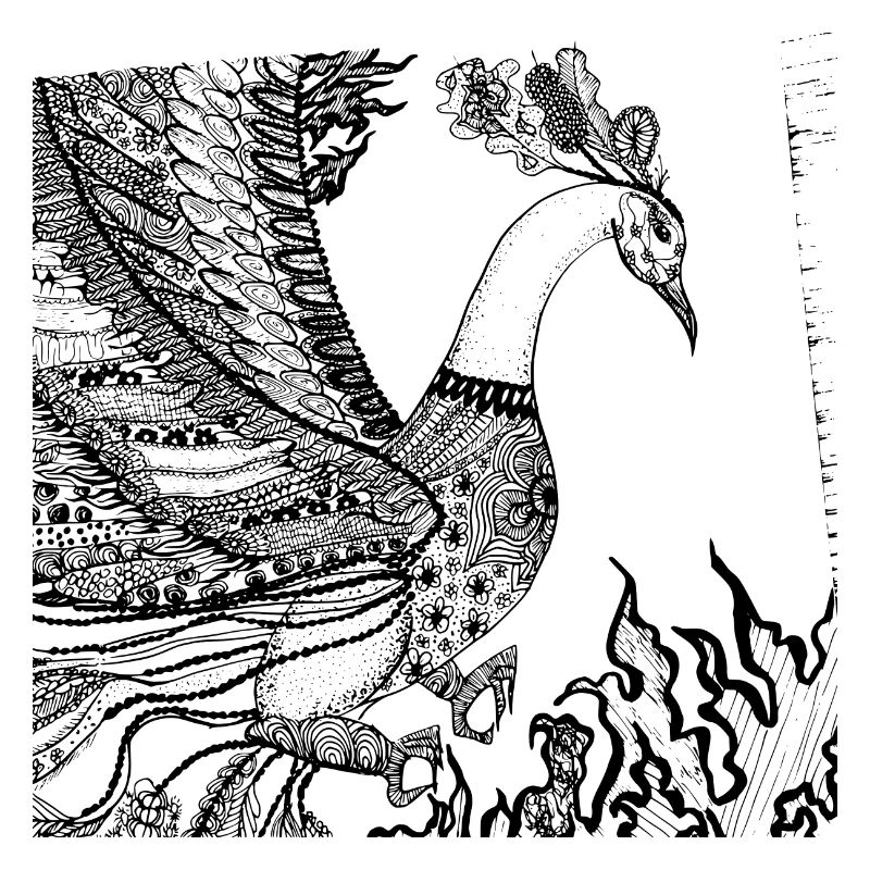 Zentangle Phoenix - Simply Beautiful
