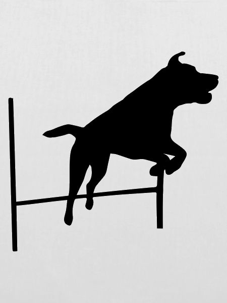 Agility