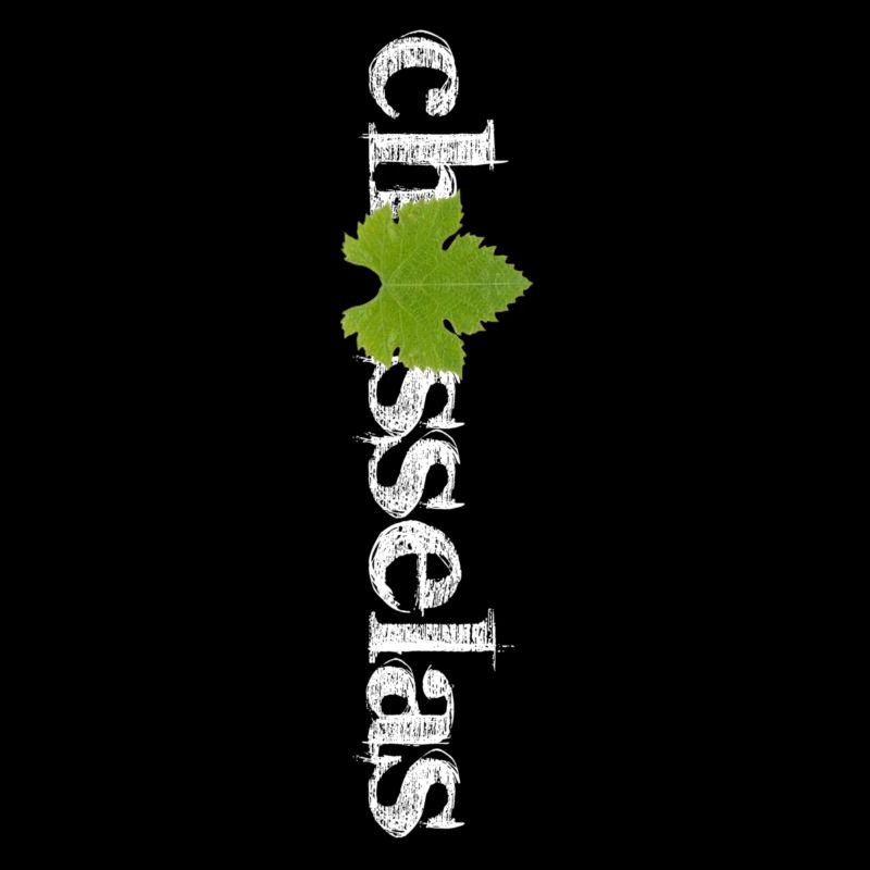 Chasselas classique