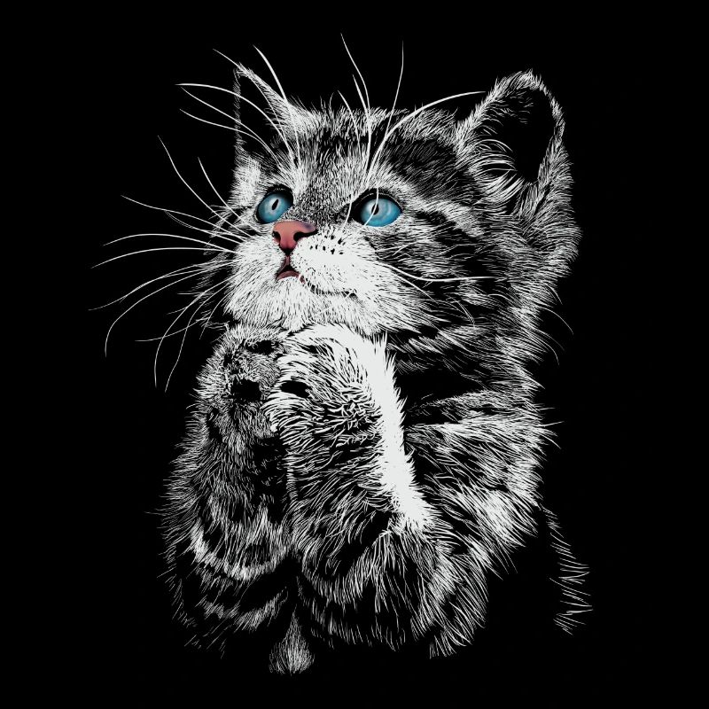 cat