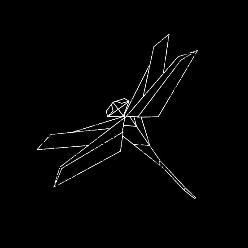 Insecte diagonale de libellule