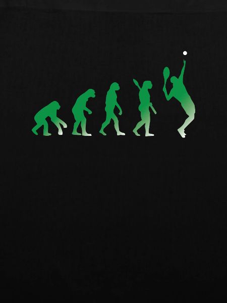 EVOLUTION TENNIS